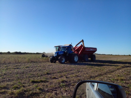 Vendo Campo Entre Rios Bovril