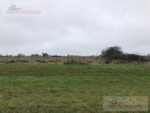 Imagen 2 de 6 de Campo - Coronel Brandsen