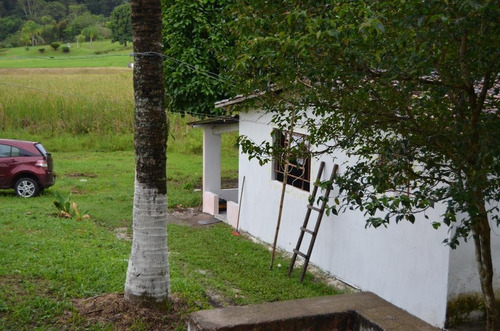 Imagem 21 de 30 de Sítio À Venda, Peruíbe. - Si0217