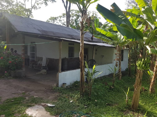 Imagen 11 de 15 de Se Vende Finca En Caripe-monagas Ve01-0435ca-lriv