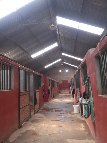 Stud En Venta - Maroñas Montevideo