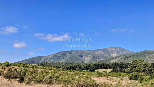Vendo Terrenos 1.000 Mts 1.000 Uf Las Gaviotas - Concón!