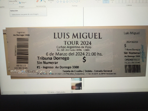 Entrada Recital Luis Miguel Tour 2024