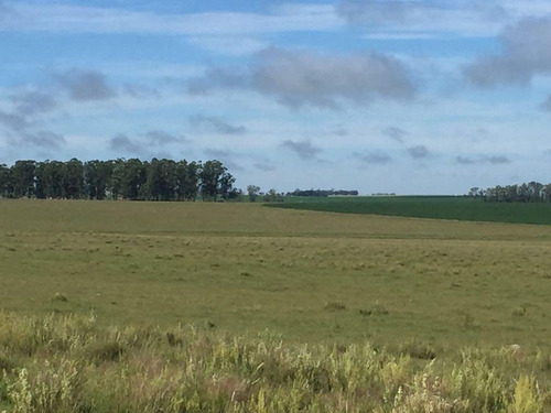 Imagen 2 de 6 de Campo - Otras