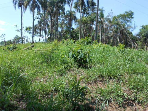 Imagem 25 de 30 de Chácara Com 1 Dormitório À Venda, 21000 M² Por R$ 1.500.000,00 - Parque Rodrigo Barreto - Arujá/sp - Ch0012