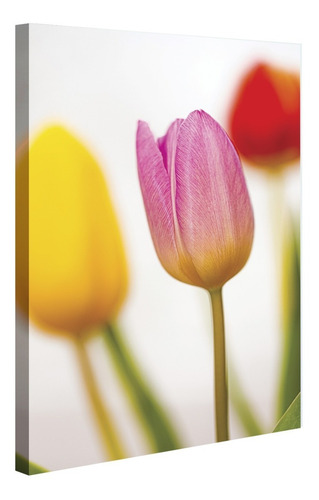 Cuadro Decorativos Canvas Tulipanes De Colores 120*80cm