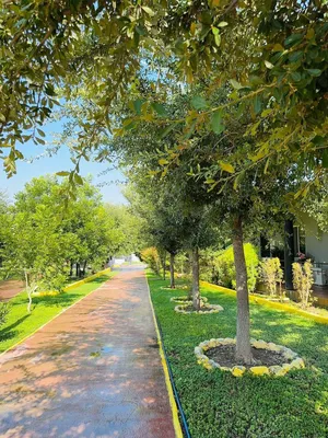 Quinta en venta