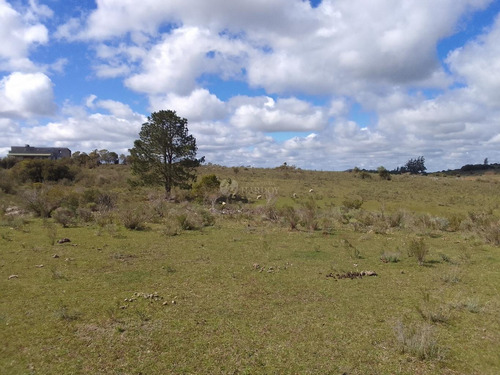 Venta Chacra 5,6 Hectareas Ruta 60 Sierra Tajamar Pozo