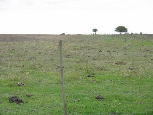 Imagen 1 de 3 de Solo 7km De Camino De Tierra Desde Ruta Provincial 10, Muy Buen Campo. Apto Agricultura Y Ganadería. 