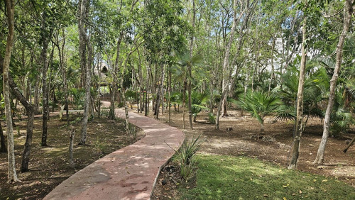 Tu Casa En La Riviera Maya