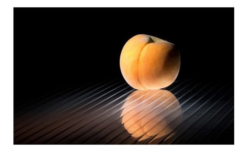 Imagen 2 de 5 de Snoot Difusor Con Grid Panal De Abejas