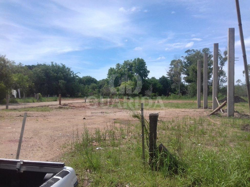 Imagem 2 de 5 de Terreno - Aberta Dos Morros - Ref: 149300 - V-149300