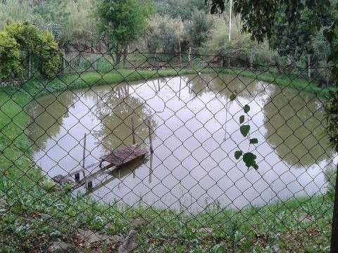 Rural - Venda - Vila Pires - Cod. 587 - V587