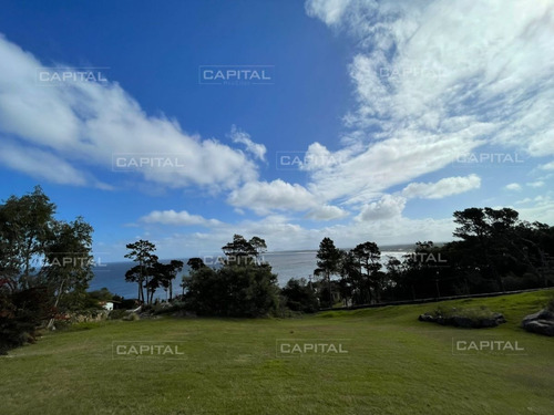 Imagen 1 de 6 de Terreno De 1003m2 En Venta En Punta Ballena. - Punta Ballena Lomo De La Ballena