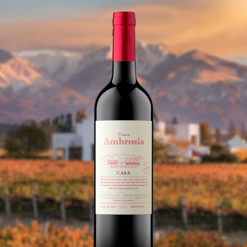 Vino Casa Ambrosia Cabernet Sauvignon 1x750ml - Ambrosia