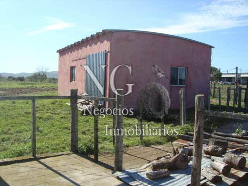 93 Ha. De Excelente Campo Con Casa Y Maquinaria En Ruta 20