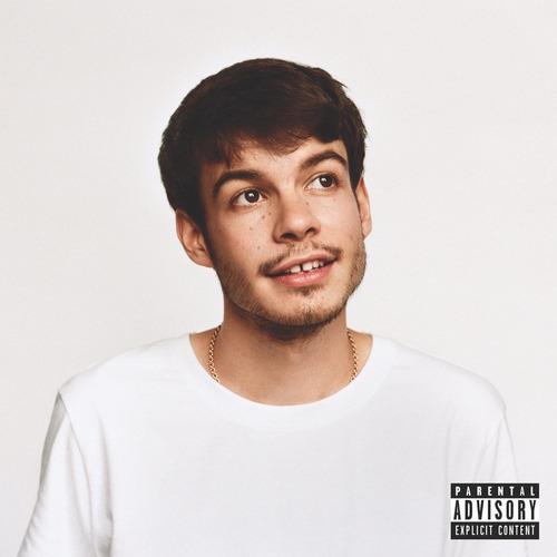 Rex Orange County Pony 140g Usa Import Lp Vinilo Nuevo