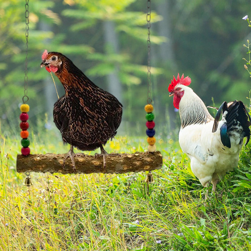 Pájaros De Madera Columpio Loro Colgante Juguete Perca