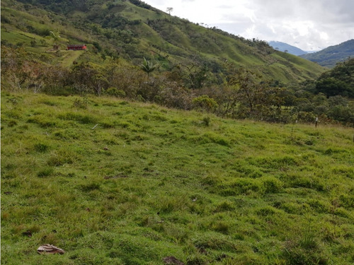 Venta De Lote Numero 2 La Milagrosa- Cocorná