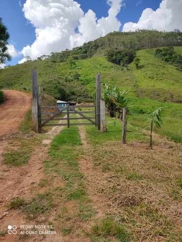Sítio Com Casa E Mina De Água Maravilhosa!