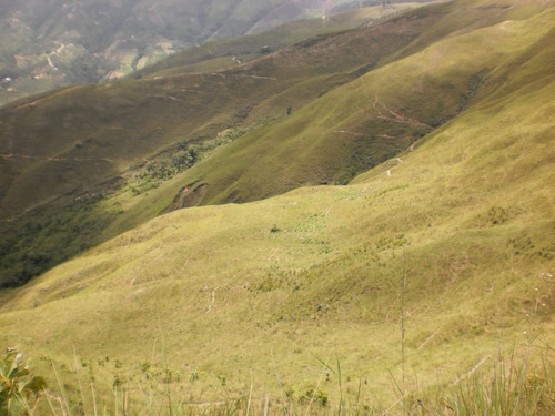 Finca Municipio Tovar Aragua