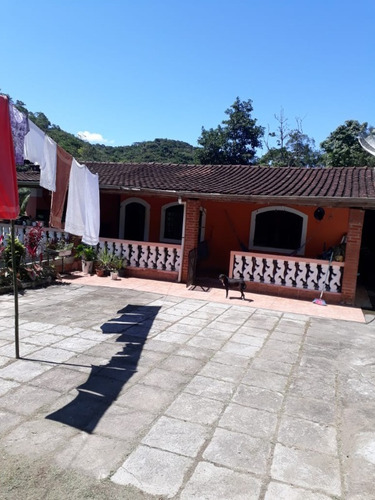 Imagem 6 de 30 de Chacara - 411 - 69484334