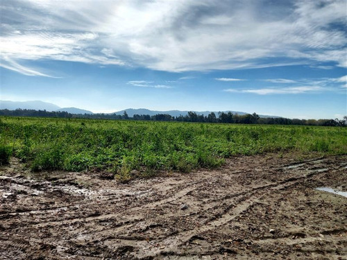 Imagen 9 de 9 de Agrícola En Venta En San Javier