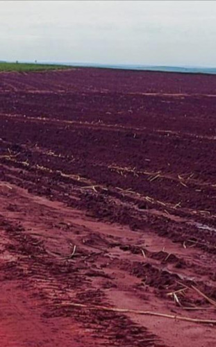 Fazenda A Venda No Paraná