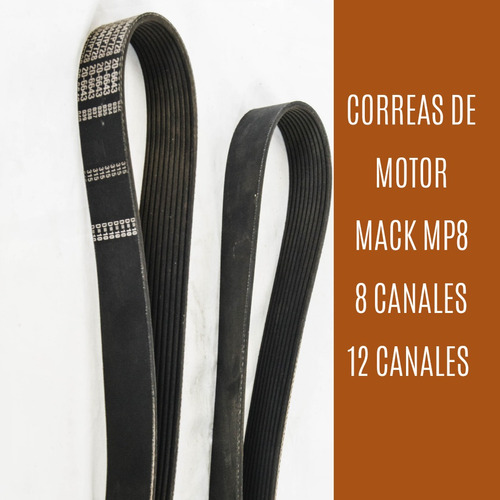 Correa Motor Mack Mp8 12 Canales 8771-787