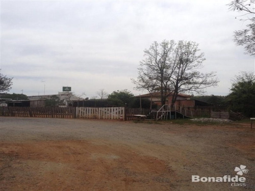 Imagem 6 de 6 de Terreno - Te04966 - 4255673