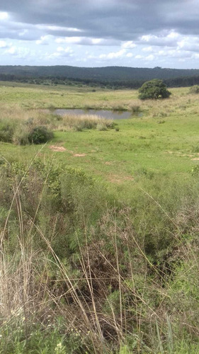 Campo En Venta En Lavalleja, 15 Hectáreas