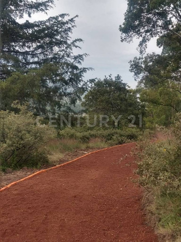 Imagen 9 de 9 de Terreno En Venta En Tepotzotlán