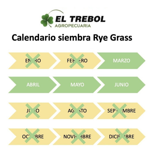 Césped Tucan El Cencerro Bl 5 Kgs Rye Grass Perenne