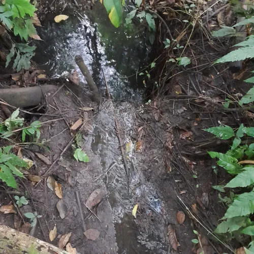 Oferta Hermosa Finca En Anapoima, Aprovechen