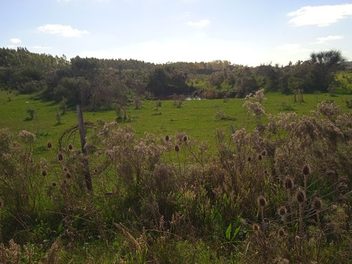 Campo De 21 Hectáreas Sub Urbanas