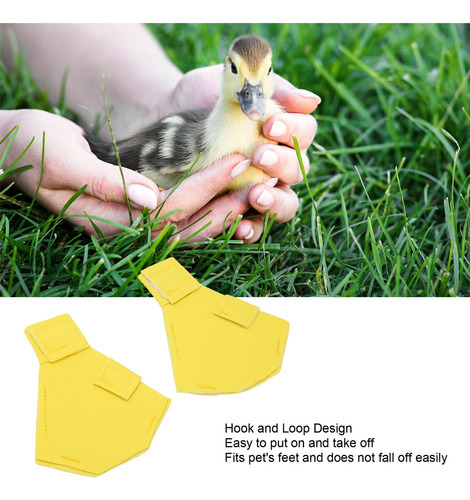 Zapatos De Pato Para Mascotas Con Amortiguación Suave
