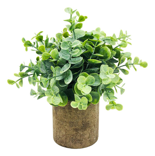 Plantas Plantas Artificiais De Eucalipto | Moderna Casa