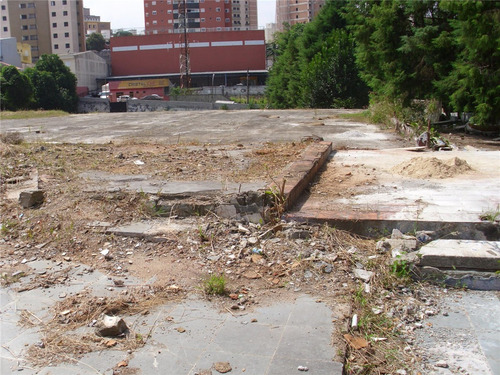 Terreno Para Aluguel, Valparaíso - Santo André/sp - 7033