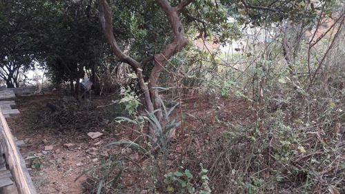 Imagem 10 de 14 de Lote Cidade Nova