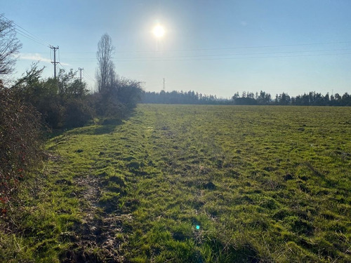 Imagen 3 de 14 de Sitios En Colbún, Región Del Maule