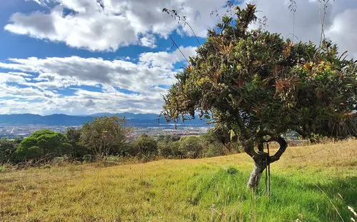 Lote En Venta En Vereda Yerbabuena. Cod V11970009