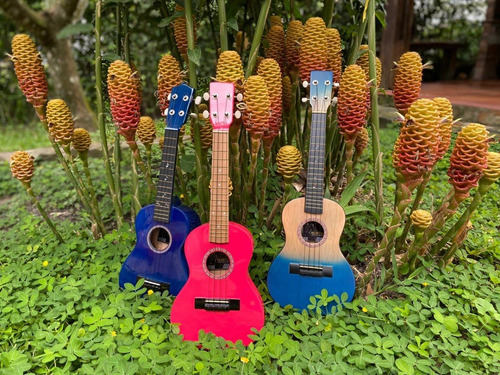 Ukeleles Acusticos Concierto En Cedro Incluye Forro Y Envio
