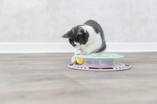 Trixie Junior Cat Activity Circle Track, Chase Track