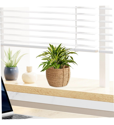 Cesta Plantas Cesta Pastos Marinos Maceta Tejida Rústica