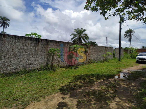 Imagem 2 de 4 de Vendo Terrendo Com 450m² - 8032