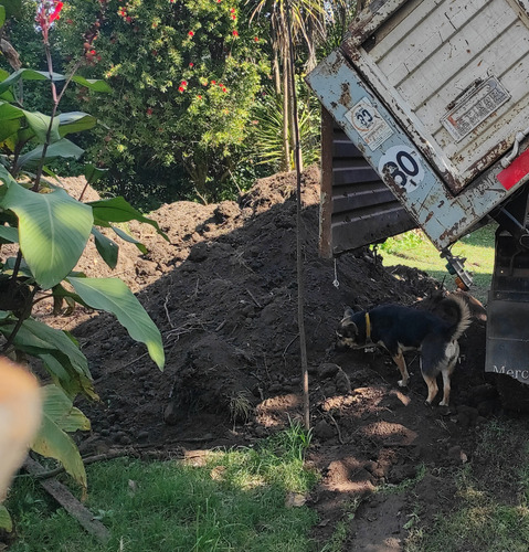 Venta De Tierra Negra Sin Trabajar Por Camión