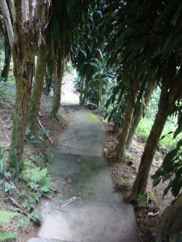 Imagem 20 de 22 de Chácara Para Venda - Botujuru , Mogi Das Cruzes - 100m², 1 Vaga - 1321