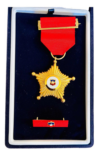 Medalla Y Piocha 30 Años Ejercito De Chile Coleccionista (Usado)