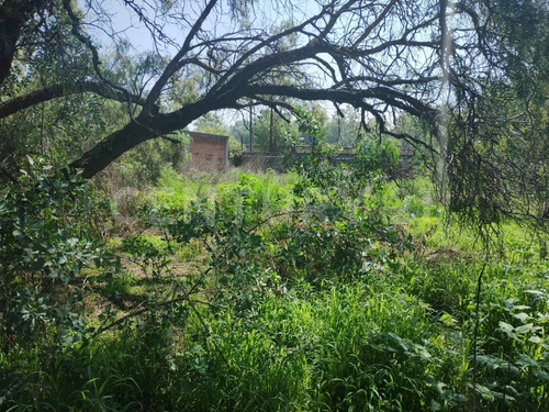 Atención Zona Oriente, Terreno En Venta