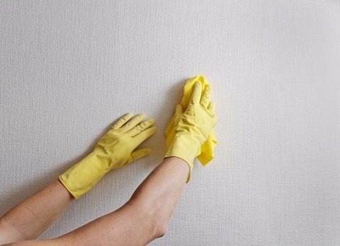 Anti Hongo Prodanix 1 Litro Azulejos Paredes Cortinas Mf